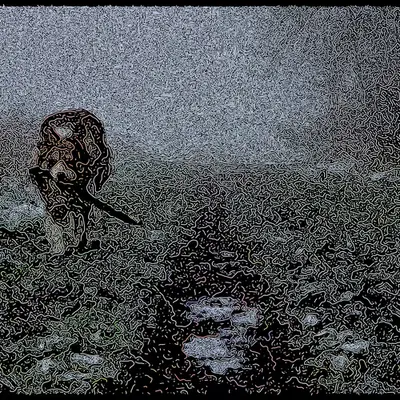 A Misty Morning Walk
