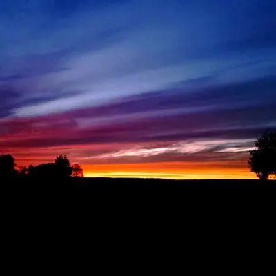 Colors of nature