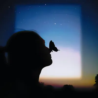 Dreaminess