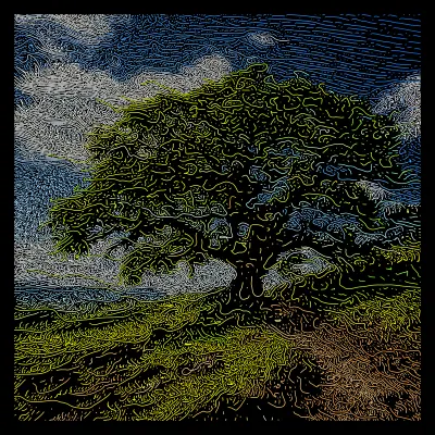 The Lonely Oak