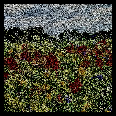 Poppy field