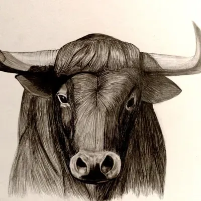Taurus - #3 with Zodiac collection.