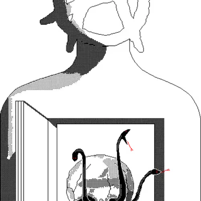 #17 | A White Rook with a Reaper's Soul