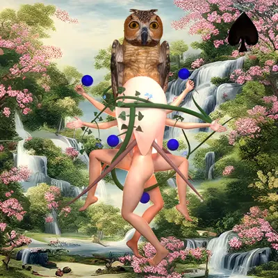 #363 | Owl Group scene with background seed 814 and a Black Spade card suit