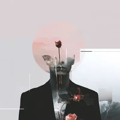 The Shape You Left Behind