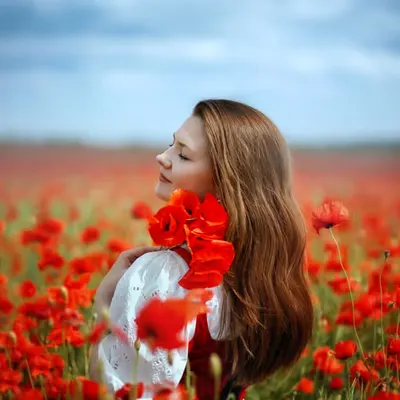 Poppies