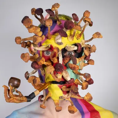 Mr Mushroom Man, 2018