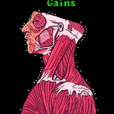 Book of Degen Anatomy 7