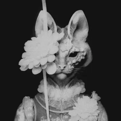 Lord of the Forgotten Things