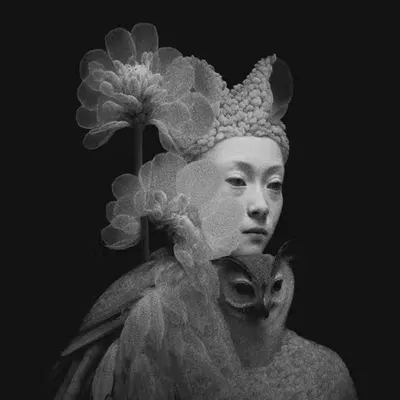 Lady of the Royal Nest