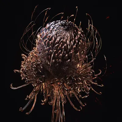 Artificial Bloom - Physical Edition Redeem