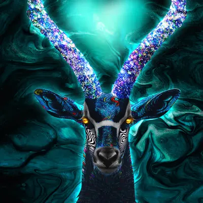 swara love 🐐❤️