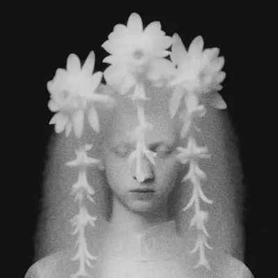 Lady of Misty Plains