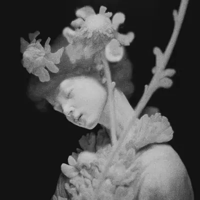 Lady of Shadowed Ravine