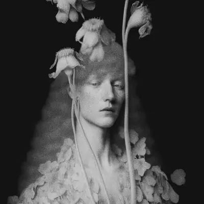 Lady of Dark Woods