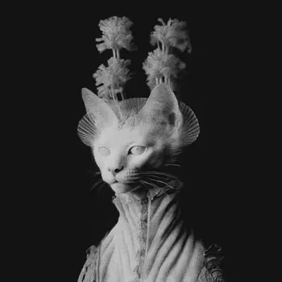 Lord of Endless Night