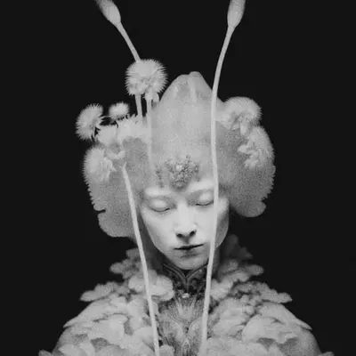 Lady of Enchanted Forest
