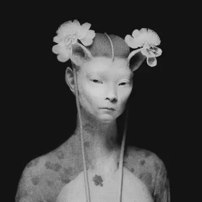Lady of Cursed Moors