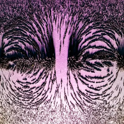 Magnetic Fields