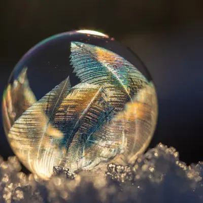 Crystal Leaves #21/30