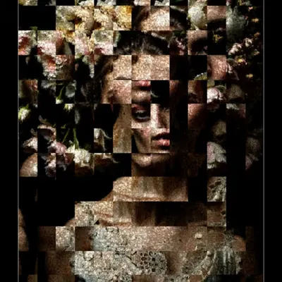 Expressio .010