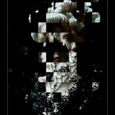 Expressio .029