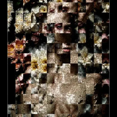 Expressio .030