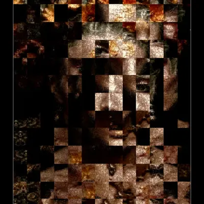 Expressio .004