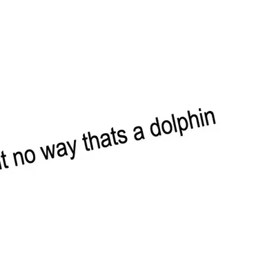 DolphinZone™