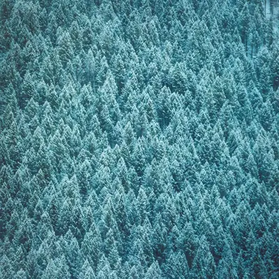 Natural Static
