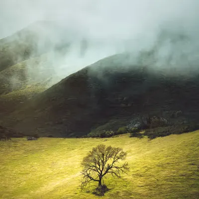 Here Lies Hope