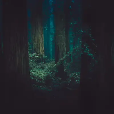 Into the End