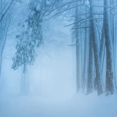 The Hollow