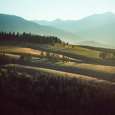 Greener on the Other Side