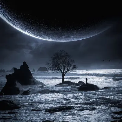 ΞCLIPSΞ //