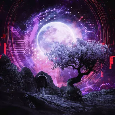 Mooncatcher //