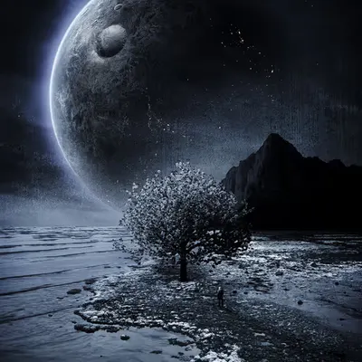 TWILIGHT //