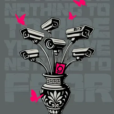 Palantir (If you've nothing to hide you have nothing to fear)