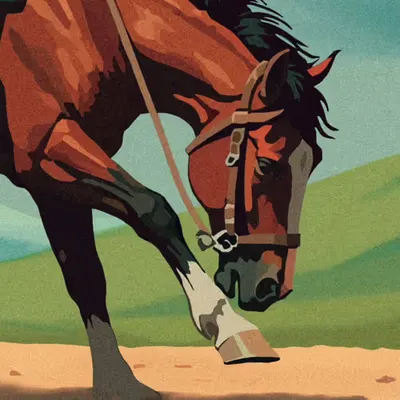 Horse