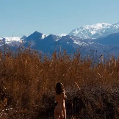 La Belle Verte