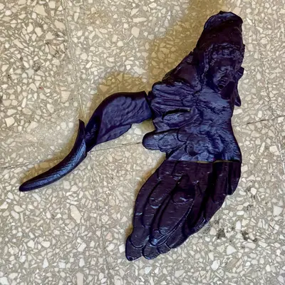 Fallen Angel