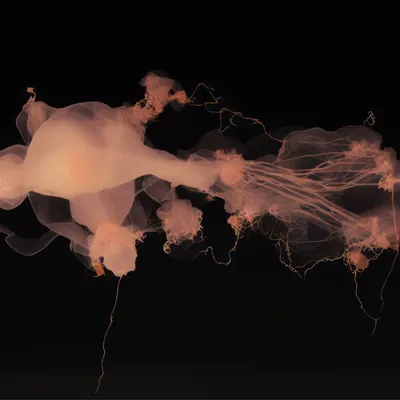 Collisions #5