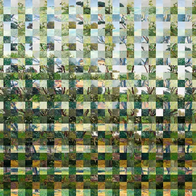 Tree Studies