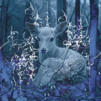 bambi
