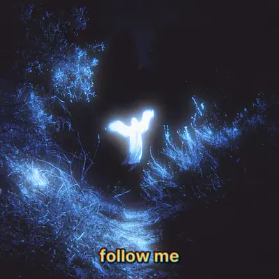 follow me