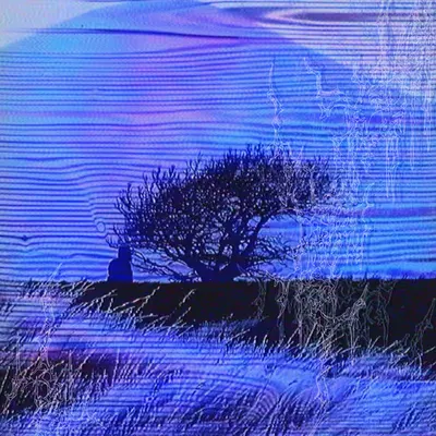 lucid dreaming
