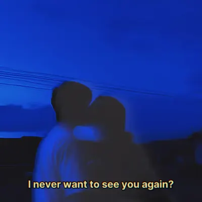 I never want to see you again?