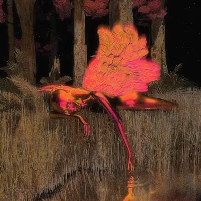 The Fall Of An Angel