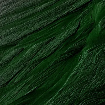 CASCADIA