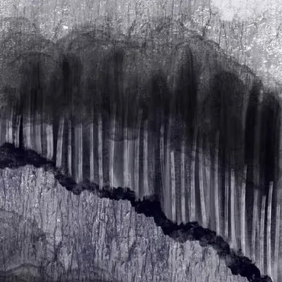 The Woods